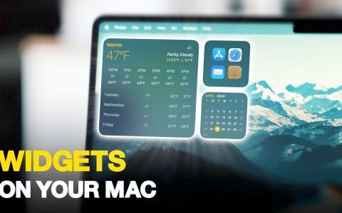 苹果macOS Sonoma中交互式小部件是如何工作的