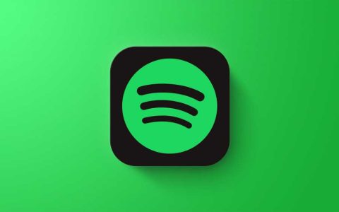 众望所归！Spotify无损音质选项或将推出付费“音乐专业”添加组件