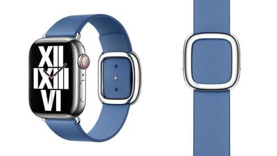 apple watch modern buckle