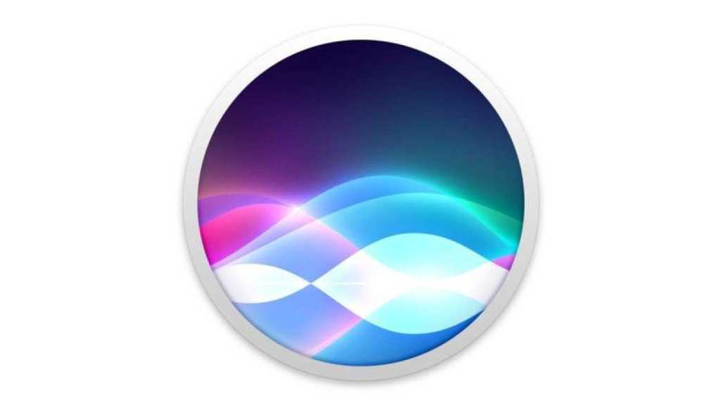 Siri icon