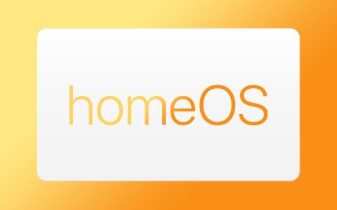 tvOS 17.4 代码引用神秘的 homeOS