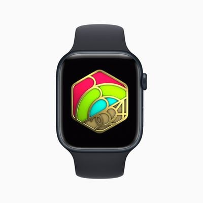 Apple Watch New Year Award 2024