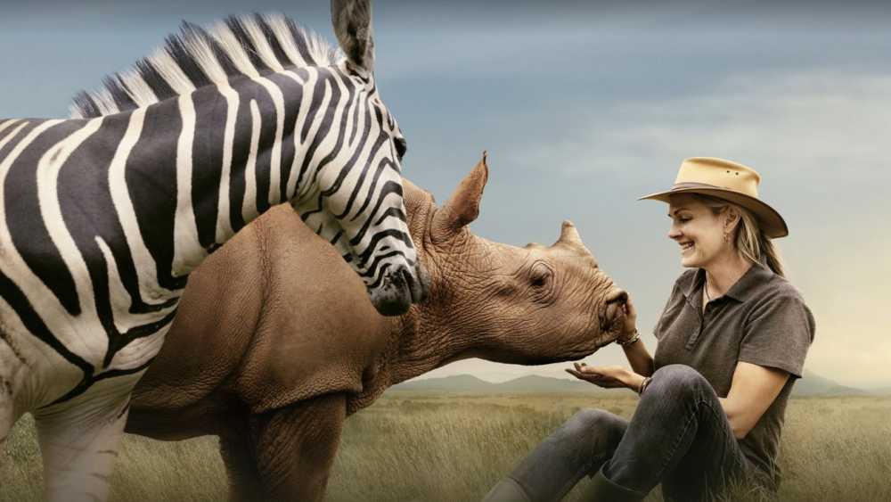 A woman in a cowboy hat smiles while touching a rhino's horn, with a zebra close by, in a grassy field under a cloudy sky.