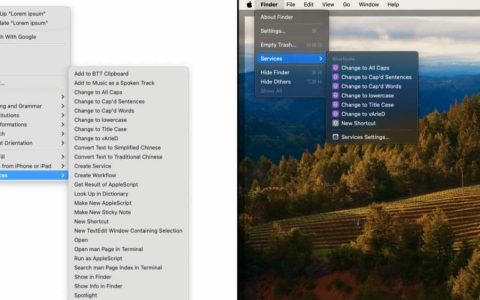 如何在 macOS 中使用服务菜单
