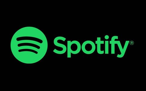 紧握拳头：Spotify可能在2024年推出无损音频