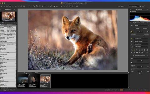 【Mac应用网盘免费下载】SILKYPIX Developer Studio Pro for Mac v11.0.12.1