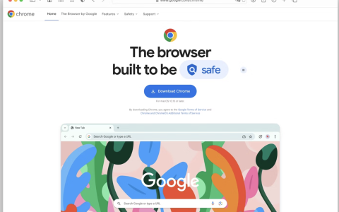 【Mac应用网盘免费下载】Google Chrome v119.0.6045.105 for Mac