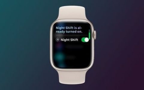 PSA：Siri 可以在 Apple Watch 上打开夜间模式