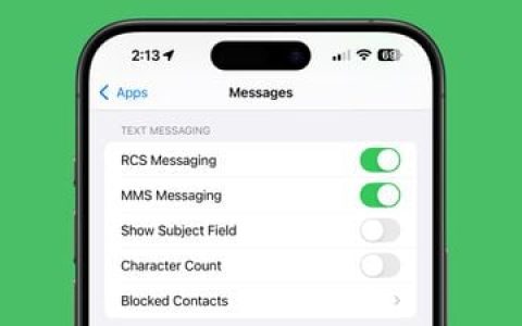 iOS 18 RCS支持提供给测试版用户