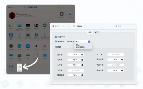 【Mac应用网盘免费下载】Wins for Mac 1.6.1: 窗口分屏管理