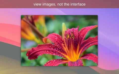 【Mac应用网盘免费下载】LilyView for Mac v1.5.1