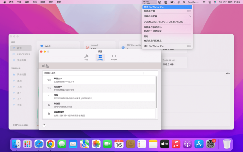 【Mac应用网盘免费下载】NetWorker Pro for Mac v8.6.2 网络流量监控