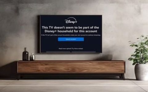 Disney+全球打击账号共享，推出付费共享计划