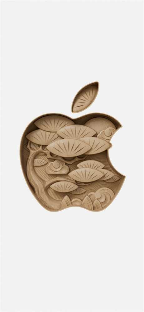 安徽第一家！Apple Store合肥万象城零售店正式开业