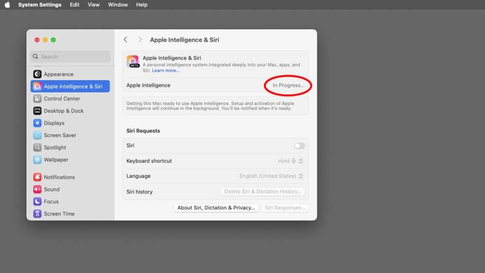 请等待 Apple Intelligence 安装和设置。