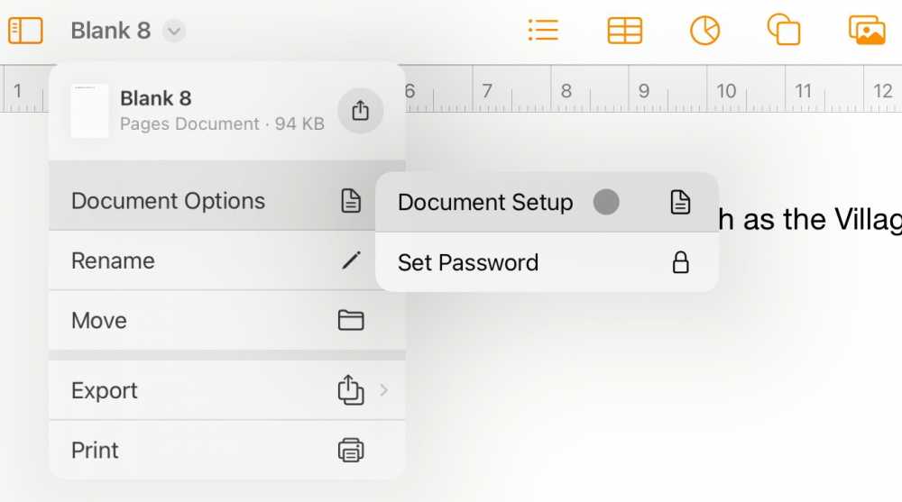 Menu options for a document include Document Setup, Set Password, Rename, Move, Export, and Print. Thumbnails and layout icons are visible above.