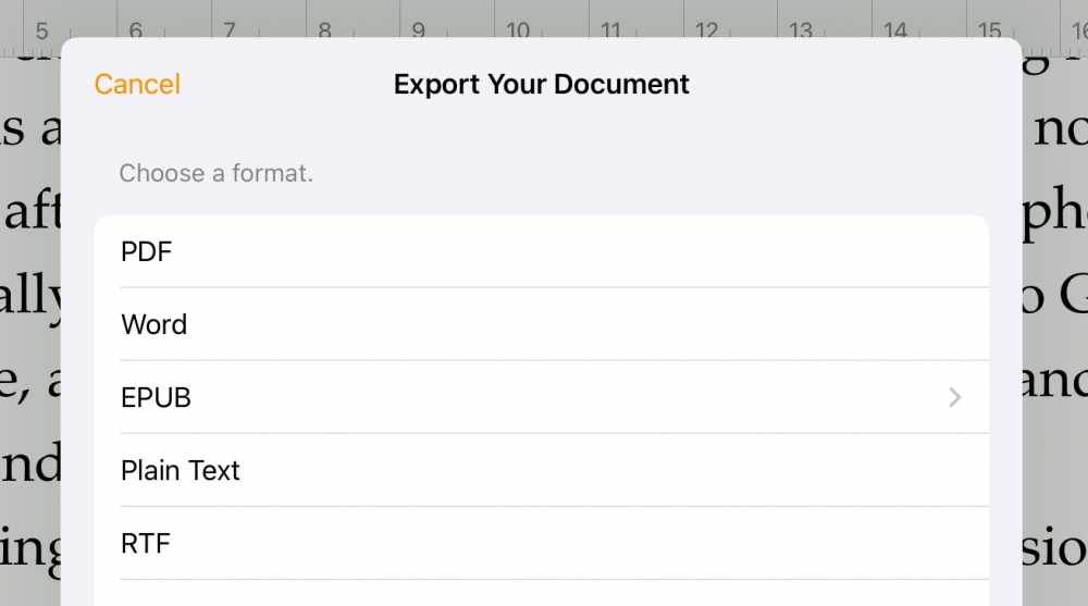 Export document menu with options: PDF, Word, EPUB, Plain Text, and RTF.