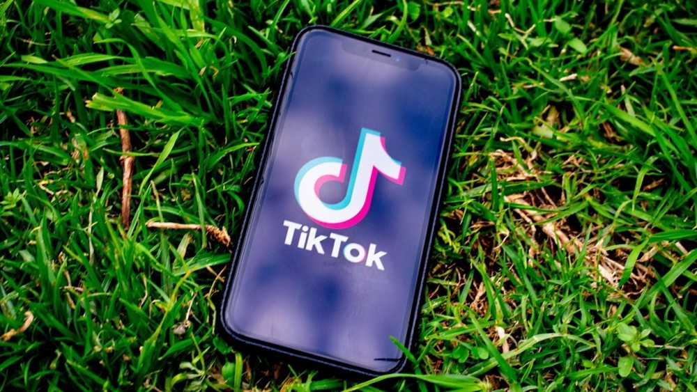 Smartphone with TikTok logo displayed, resting on lush green grass.