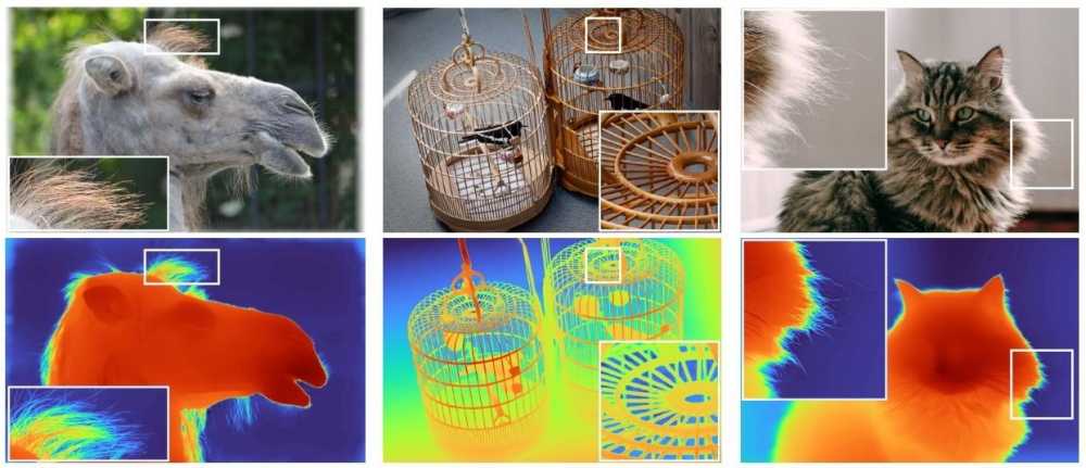 Upper row: camel, birdcages, and cat with detailed inserts. Lower row: thermal images of camel, birdcages, and cat with highlighted areas.