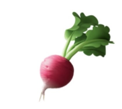 根茎蔬菜