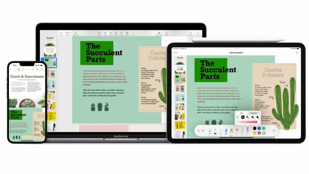 Multiple devices displaying a document about succulents and cacti, with headings, images of plants, and annotations on a smartphone, tablet, and laptop screen.