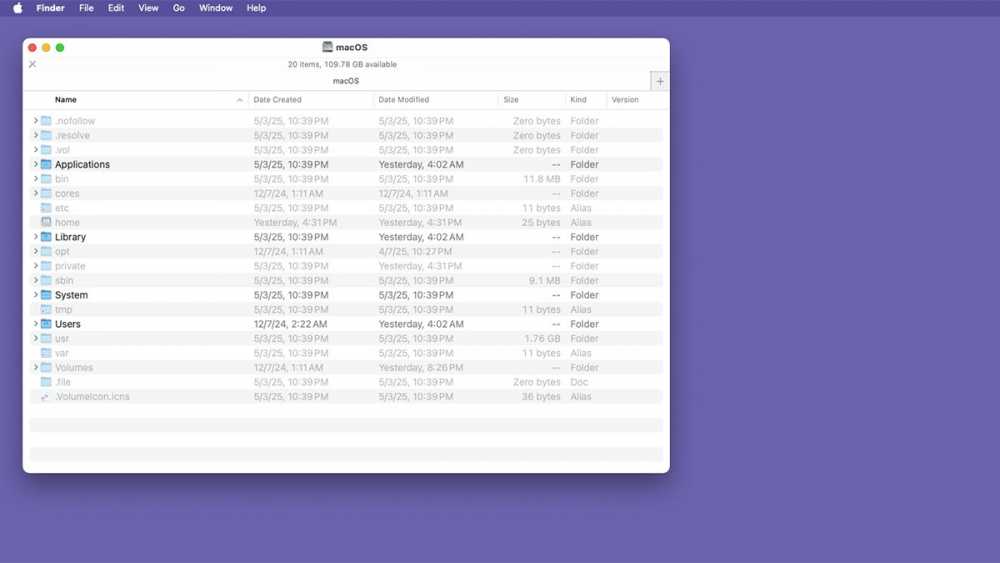 每个 macOS 启动磁盘的根目录也包含许多隐藏文件和文件夹。