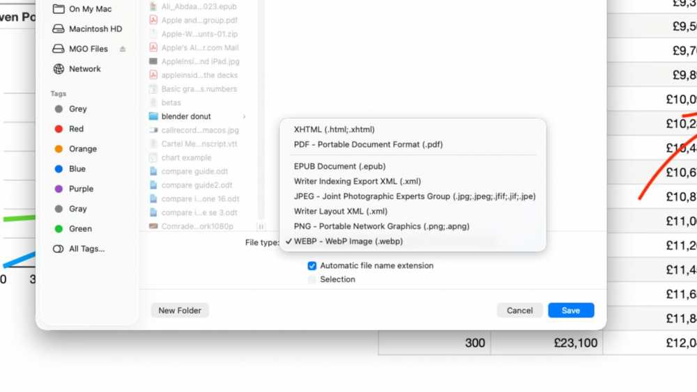Mac 上的文件保存对话框，列出了 PDF、JPEG 和 WEBP 等文件类型，左侧边栏有文件夹导航和标签。