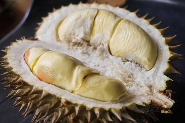   泰国一男子骑摩托追尾皮卡 一头扎到榴莲上：太惨！