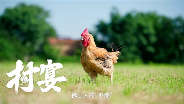 从舌尖“较真”到城市精神：快手短片《佛山不佛》展现“不佛”的佛山力量