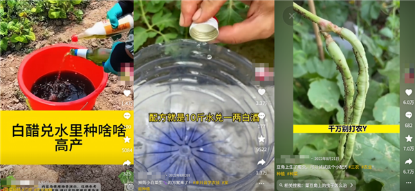 为了骗农民的钱 这群人注册了上千个账号