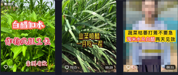 为了骗农民的钱 这群人注册了上千个账号