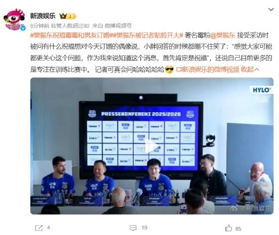 樊振东接受采访