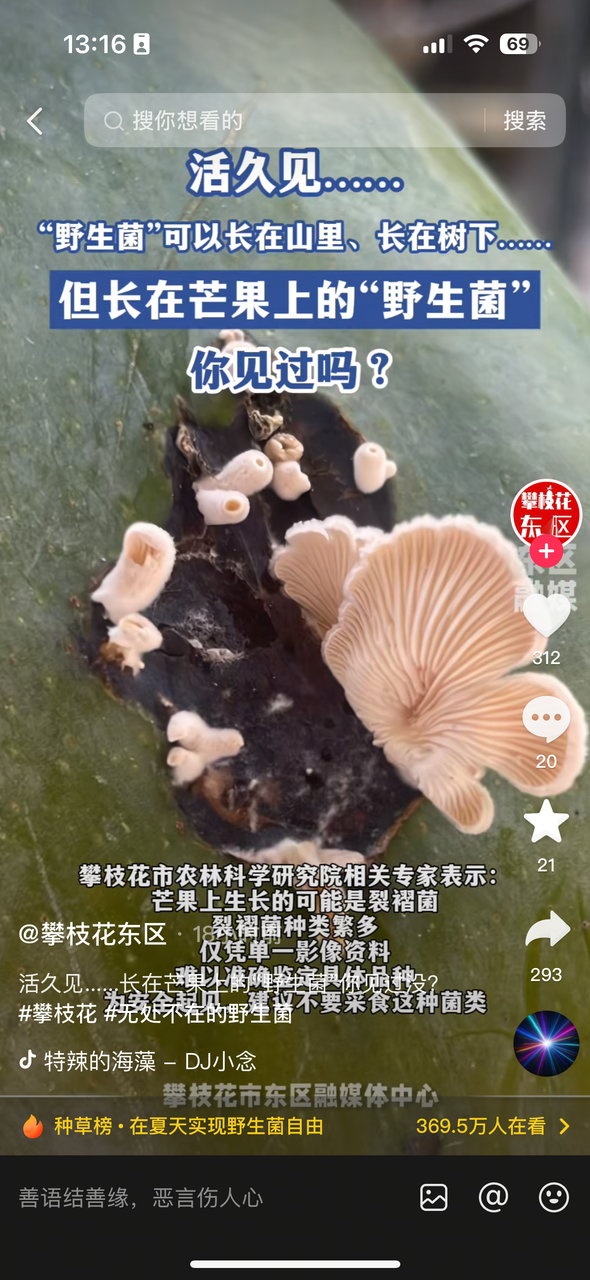 芒果上长白色蘑菇引热议 主人：芒果已被吃掉 生物专家科普解读