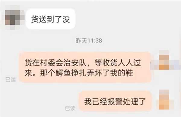 骑手称配送死鳄鱼：结果半路活了