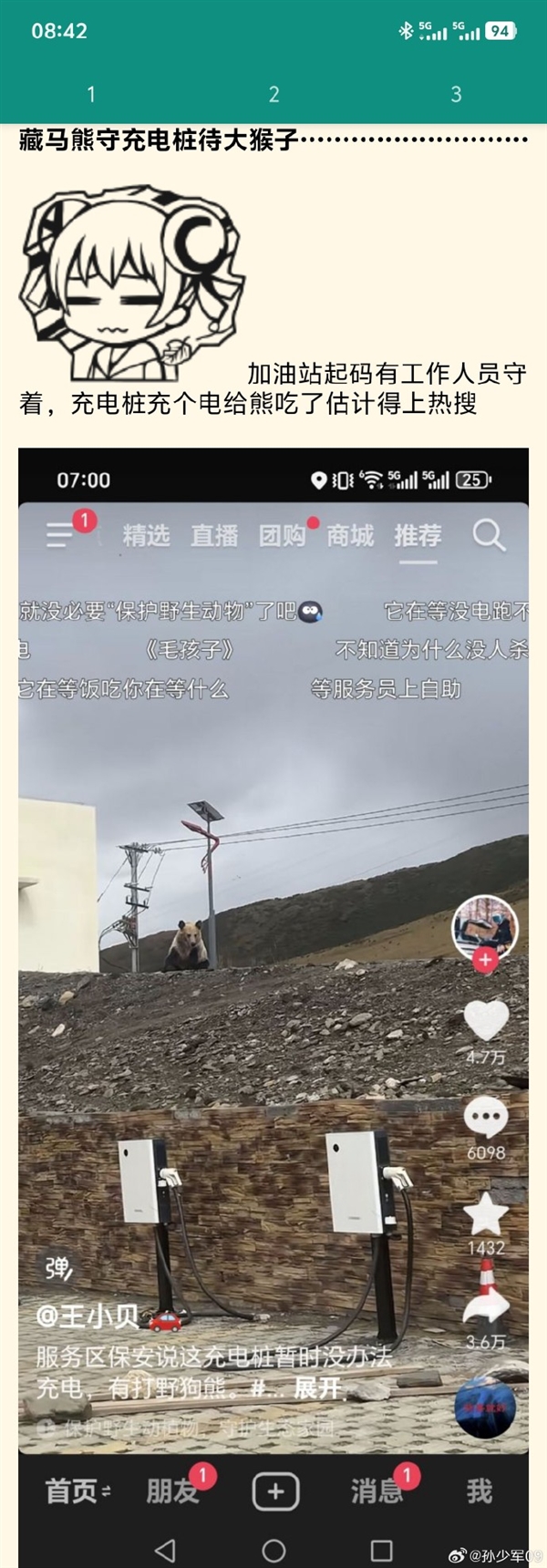 高速服务区充电桩被告知无法使用：因为有只狗熊一直守着