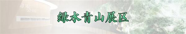 中国馆获大阪世博会大型自建馆展示金奖 馆内展陈有何亮点
