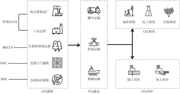 别整天喊科学没突破了 今年诺奖全是高手