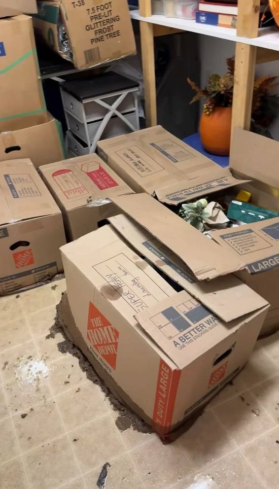 “屎漫金山”！宝可梦卡牌收藏家因水管爆裂痛失数千美元