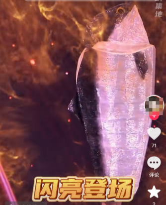 挪威环球小姐扮成三文鱼走红网络 银粉战衣完美复刻鱼头超吸睛