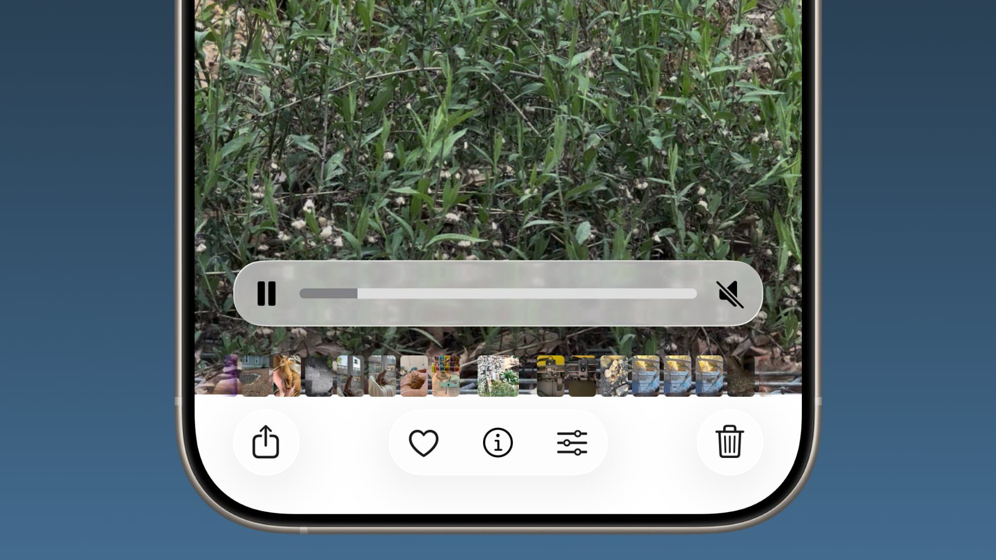 ios 26 1 photos app video