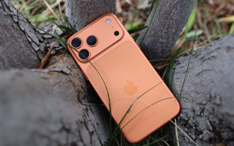 友商纷纷跟进Pro Max机型 明年集中发布效仿苹果