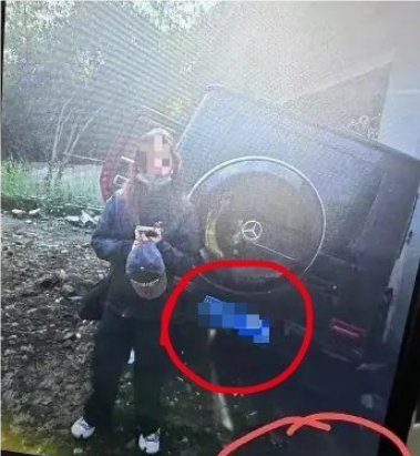 保险公司客服回应金晨事件:驾驶员逃逸保险公司一般不会直接告发