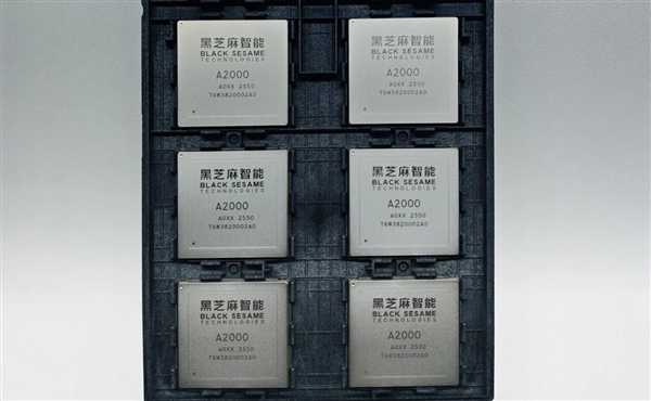 黑芝麻智能华山A2000芯片图