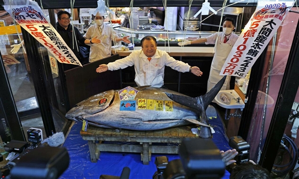一条鱼卖出2271万人民币！日本金枪鱼首拍创历史最高价