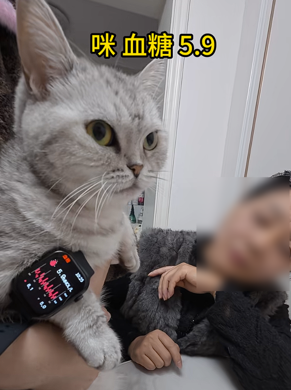 号称“德国进口”！84元网购手表测出吸尘器血糖7.4