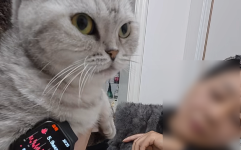 网购84元德国进口手表实测吸尘器血糖7.4