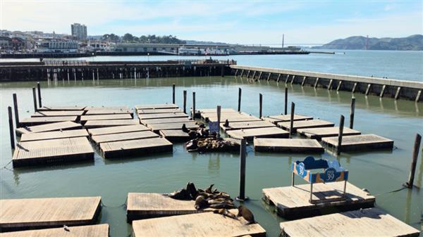 三星Galaxy S26 Ultra 8K视频录制动态画面截图