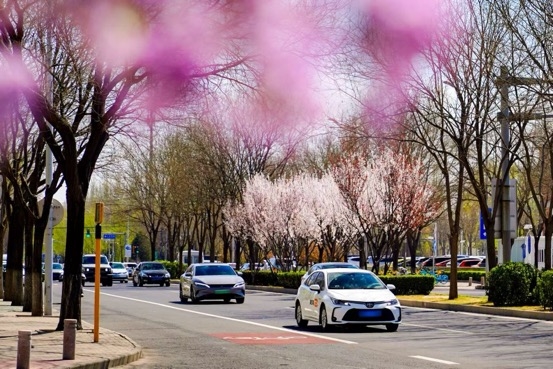 清明出行变样了：滴滴异地打车涨41% AI打车翻近一倍