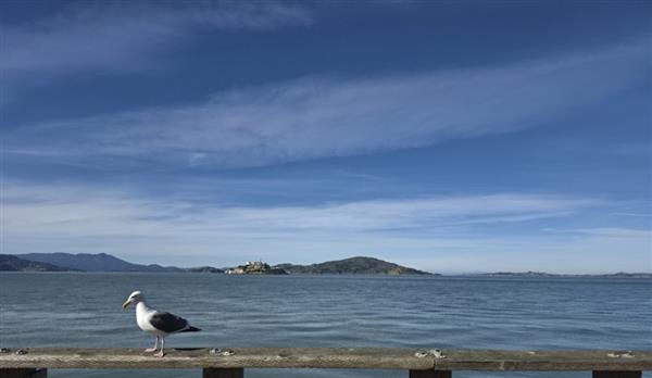 三星Galaxy S26 Ultra广角画面与恶魔岛局部裁切对比