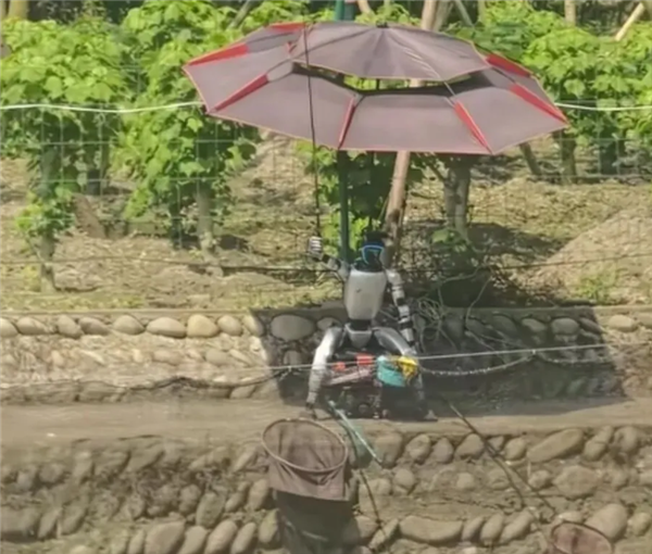 机器人钓鱼视频截图